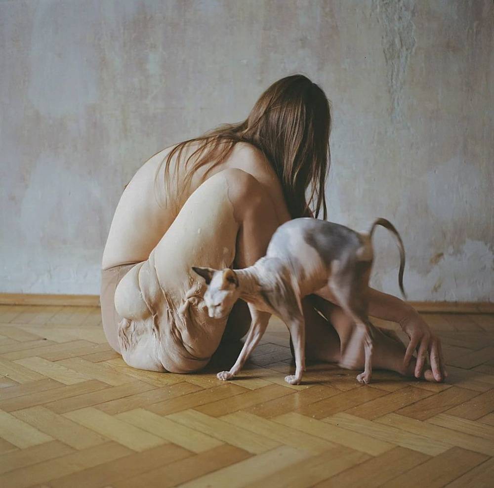 художник Анастасия Ковалёва - Целлюлит. Симуляция красоты.