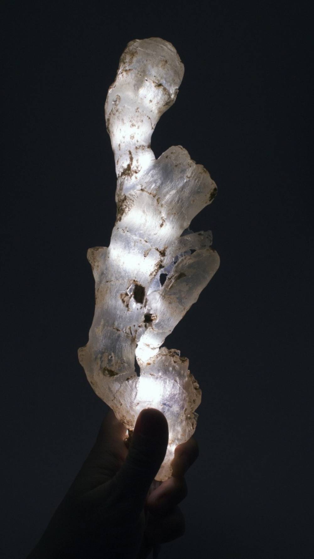 художник Маяна Насыбуллова - Unatural object (имбирь)