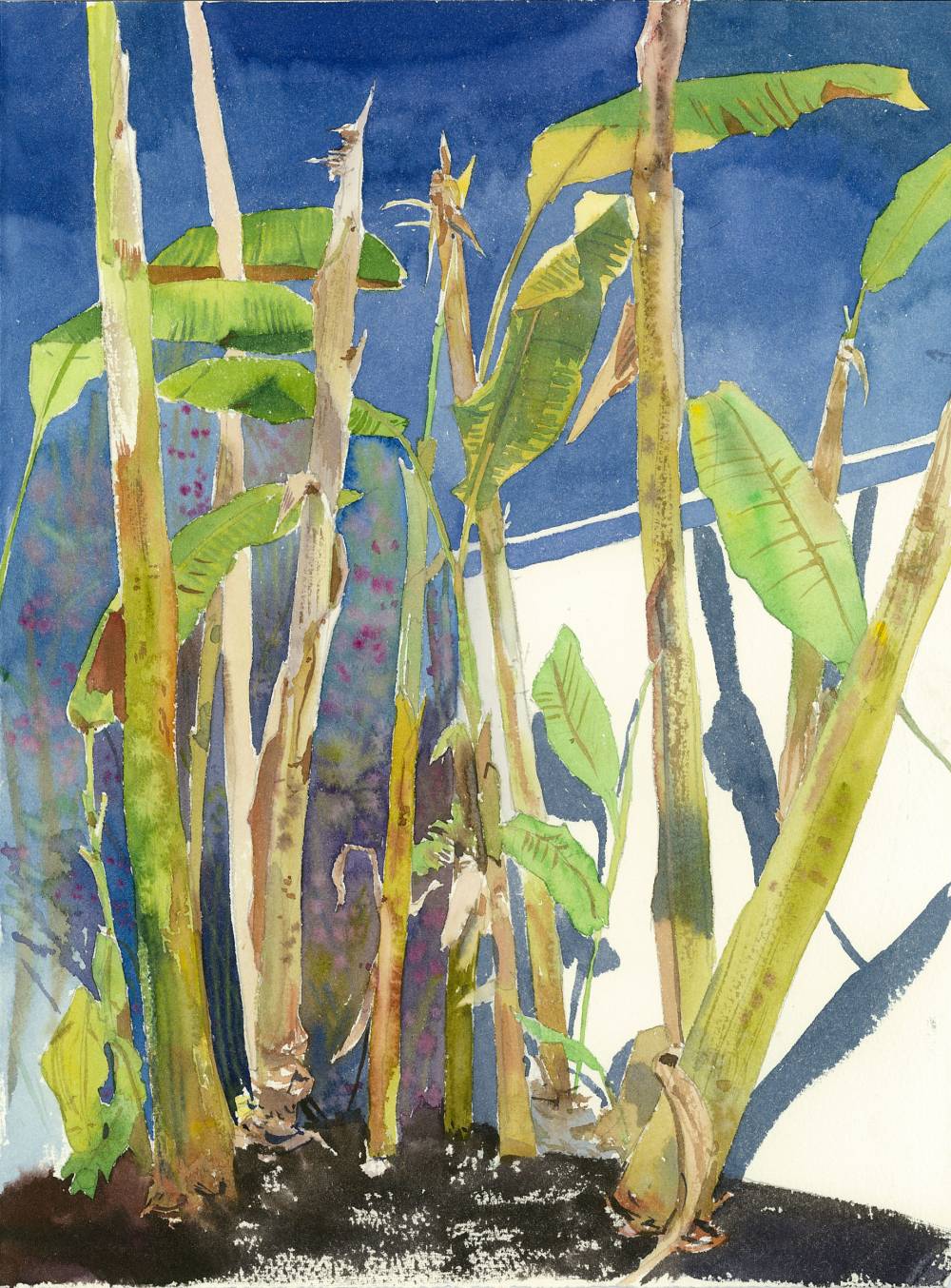 художник Ева Шорина - Джунгли