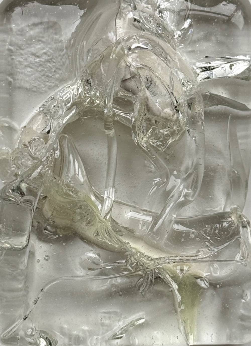 художник Наталья Чобанян - Из серии «Сад исчезающих цветов» 