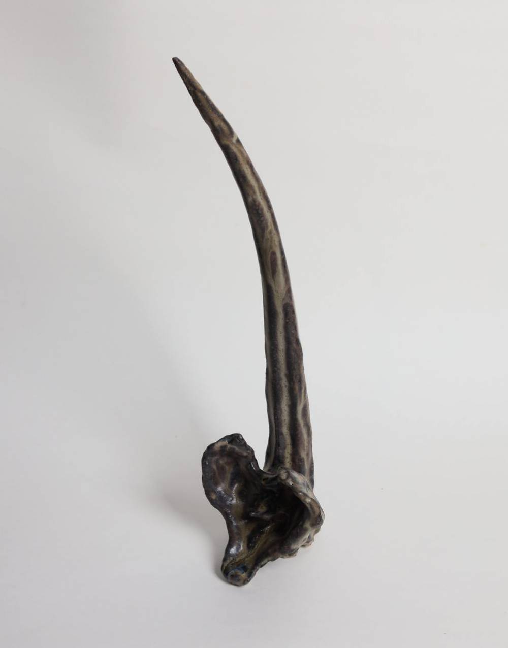 художник Борис Макаров - Кость 1