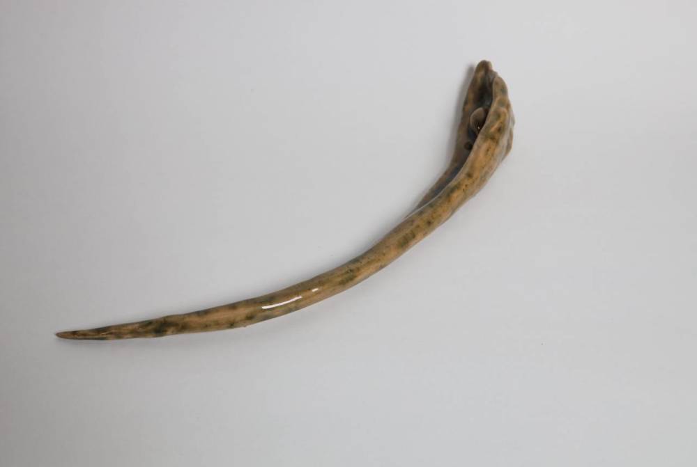 художник Борис Макаров - Кость 4 