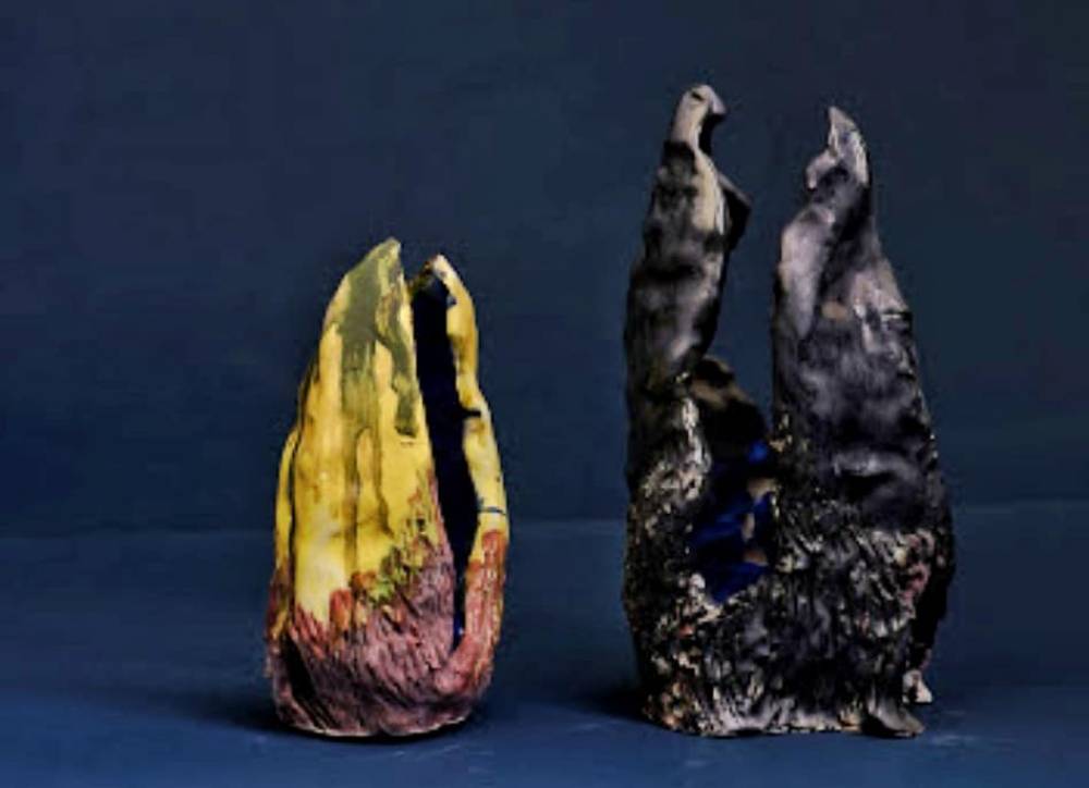 художник Виктория Предыбайло - Кубок и клювы (3 объекта)