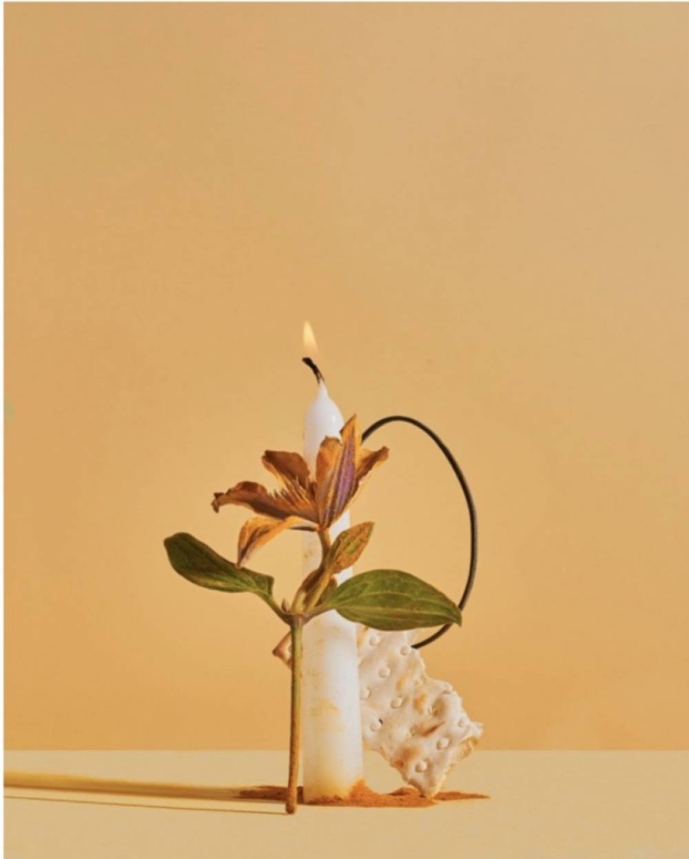 художник Анастасия Колисниченко - Отношения