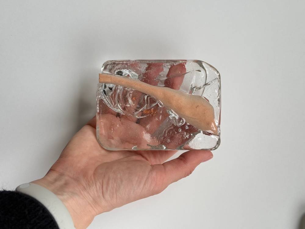 художник Наталья Чобанян - Из серии «Сад исчезающих цветов»