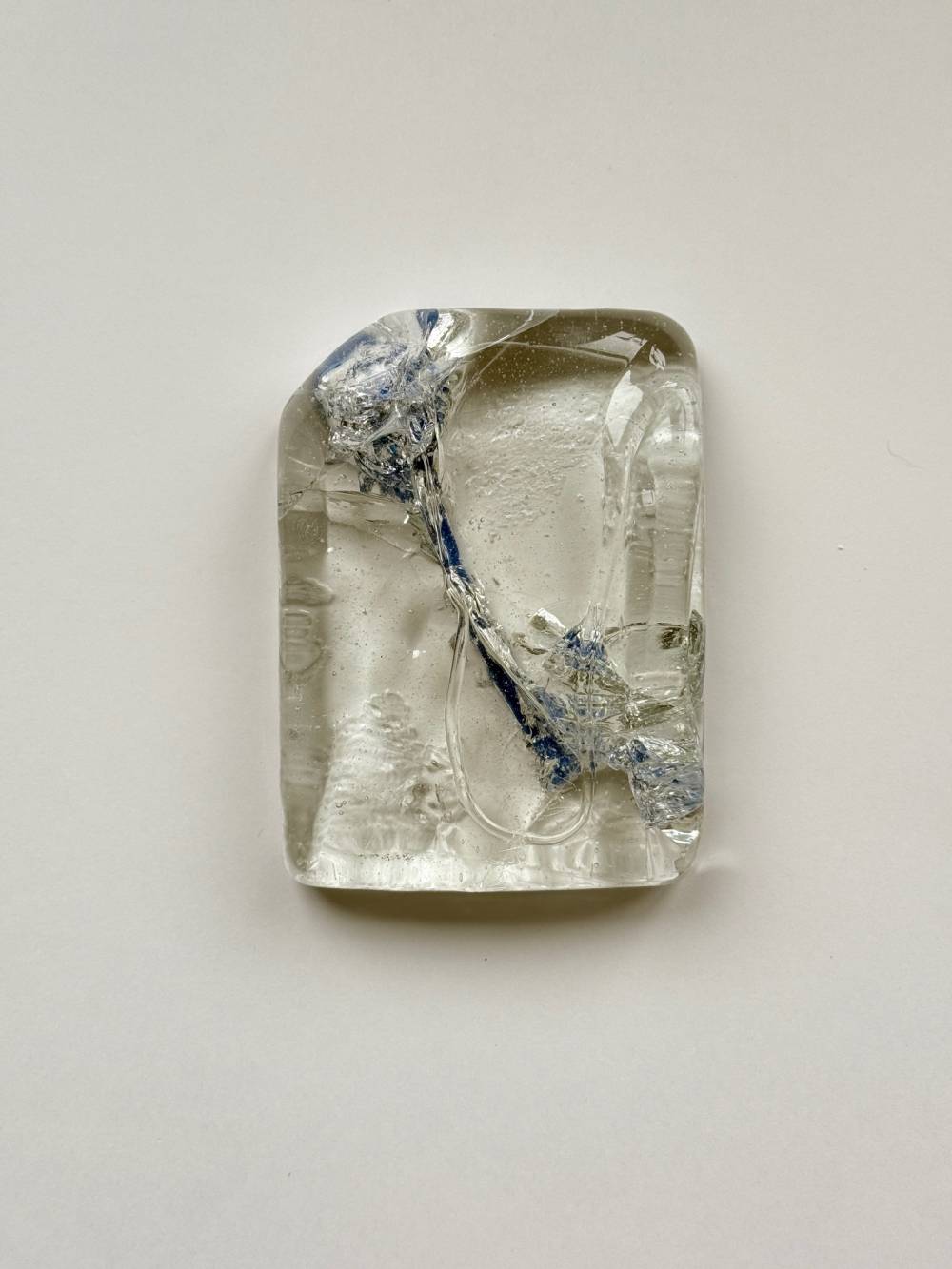 художник Наталья Чобанян - Из серии «Сад исчезающих цветов» 