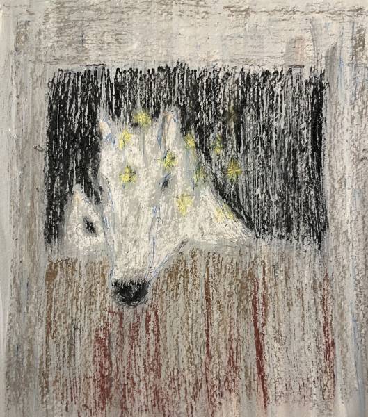 художник Нестеренко Эдит - картина Звездная ночь